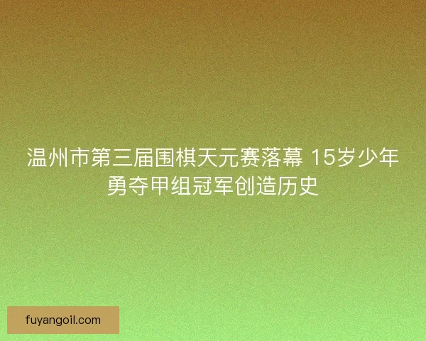 温州市第三届围棋天元赛落幕 15岁少年勇夺甲组冠军创造历史
