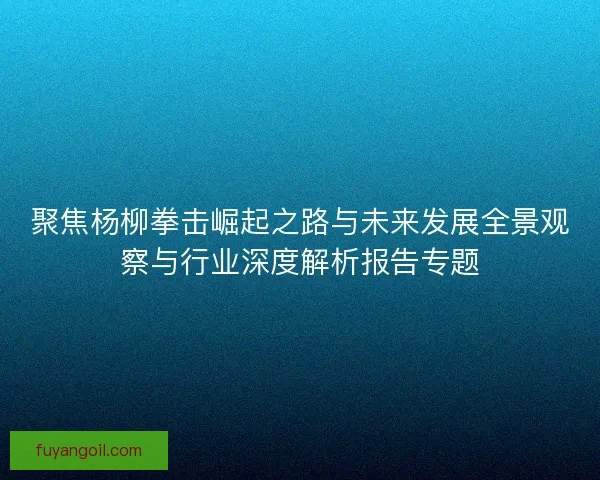 聚焦杨柳拳击崛起之路与未来发展全景观察与行业深度解析报告专题