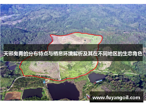 天邪鬼青的分布特点与栖息环境解析及其在不同地区的生态角色