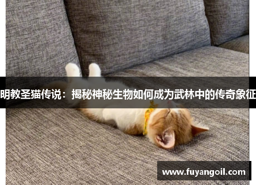 明教圣猫传说：揭秘神秘生物如何成为武林中的传奇象征